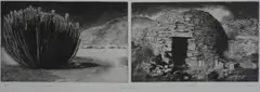 Lyn Smuts, Fabricated Landscape, diptych, 1998, etching on paper
