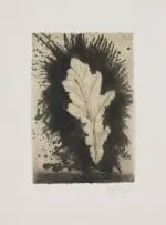 William Kentridge, Leaf, Waiting for the Sybil, 2019, coffee-lift aquatint and drypoint on hand-made Phumani sisal 120gsm paper mounted onto 300gsm Revere paper
