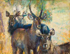 Zakkie Eloff, A Group of Waterbuck, oil on canvas