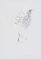 Judith Mason, A Bird in the Hand, 1983, pencil on paper laid down on board