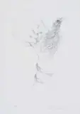 Judith Mason, A Bird in the Hand, 1983, pencil on paper laid down on board