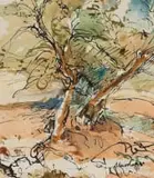 Nico Roos, Landscape
