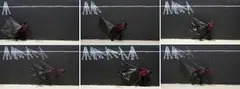 Robin Rhode, A Day in May, five, 2013, digital animation in various media formats, 3 minutes and 15 seconds