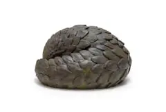 Donald Greig, Pangolin Ball, bronze with a light brown patina