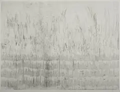 Willem Boshoff, Highveld, etching on paper