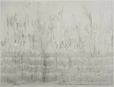 Willem Boshoff, Highveld, etching on paper