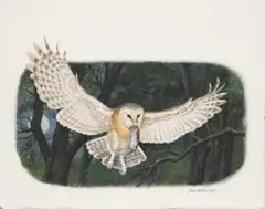 Untitled (Owl) by Johan Hoekstra, 2002, oil on board, sold Aug 2026