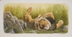 Untitled (Lion) by Johan Hoekstra, 2001, oil on board, sold Aug 2026