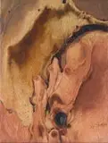 Aileen Lipkin, Fungus Growth