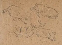 Maggie Laubser, Study of Pigs, 1946, pencil on paper
