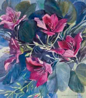 Jane Wiles, Bauhinia, First Radiance, 1997, watercolour on paper