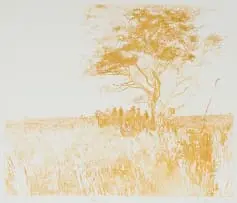 Sue Williamson, Kalahari Tree, 1981, colour etching on paper