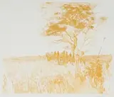 Sue Williamson, Kalahari Tree, 1981, colour etching on paper