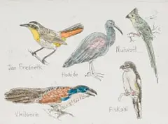 Claudette Schreuders, My Voels I (My Birds), hand-coloured etching on paper