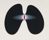 Aileen Lipkin, Abstract Form, 1975, screenprint