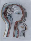 Bettie Cilliers-Barnard, Composition with Heads and Birds, 1977, screenprint
