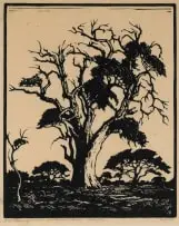 Jacobus Hendrik Pierneef, Hardekoolboom, TVL (Nilant 74), 1936, linocut on paper