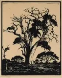 Jacobus Hendrik Pierneef, Hardekoolboom, TVL (Nilant 74), 1936, linocut on paper