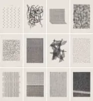Willem Boshoff, Kyk Afrikaans, 2003, screenprints on paper