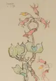 Gregoire Boonzaier, Plakkies (Cotyledon), 1994, pastel and ink on paper