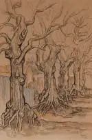 Gregoire Boonzaier, Avenue of Oak Trees, 1983, charcoal, ink and watercolour on paper