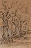 Gregoire Boonzaier, Avenue of Oak Trees, 1983, charcoal, ink and watercolour on paper