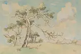 Gregoire Boonzaier, Bome en Berg, Kaapse Vlakte (Trees and Mountain, Cape Flats), 1975, charcoal, ink and watercolour on paper