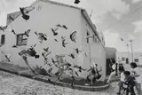 George Hallett, Birds in Signal Street, 1996, photographic print on paper laid down on board