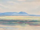Jacobus Hendrik Pierneef, Springbok Vlakte (Springbok Flats), oil on board