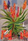 Keiskamma Art Project, Imvomvo (Flowers of the Aloe Plant), appliqué and embroidery on textile