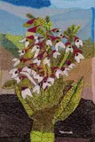 Keiskamma Art Project, Plant with White Flowers, appliqué and embroidery on textile
