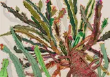 Keiskamma Art Project, uMhlontlo (Euphorbia), appliqué and embroidery on textile