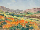Hennie Niemann Snr, Namqualand, oil on canvasboard