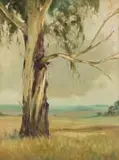 Christopher Tugwell, Tree in a Landscape, oil on board