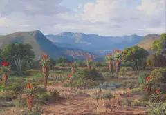 Vera Volschenk, Aloes - near Cookhouse, Alwyne - naby Cookhouse, 1950, oil on canvas