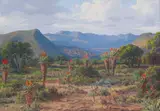 Vera Volschenk, Aloes - near Cookhouse, Alwyne - naby Cookhouse, 1950, oil on canvas