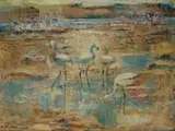 Nerine Desmond, Flamingos, Luderitzbuch S.W.A