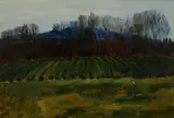 Florence Zerffi, Landscape with Field and Trees, 1918, oil on canvas laid down on board