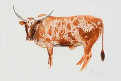 Leigh Voigt, 51 Stones of the Ngoye Forest, watercolour on paper