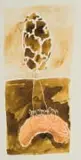 Colbert Mashile, Untitled, 2000, watercolour on paper
