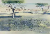 Ulrich Schwanecke, Verdant Thorn trees
