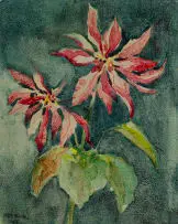 Otto Klar, Poinsettias, 1965, watercolour on card