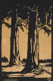Jacobus Hendrik Pierneef, Bloekombome (Eucalyptus Trees) (Nilant 77)
