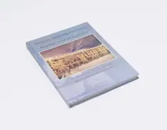 N J Coetzee, Pierneef, Land and Landscape: The Johannesburg Station Panels in Context