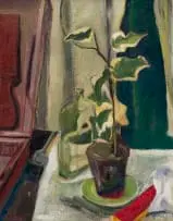 Florence Zerffi, Still Life with Potted Plant, 1958, oil on canvas