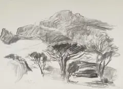 Jean Welz, Constantia, 1972, charcoal on paper