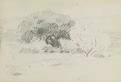 Jacobus Hendrik Pierneef, Bushveld Landscape with Trees, pencil on paper
