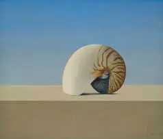 Wim Blom, Nautilus, 1980, oil on canvas