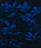 Peter Eastman, Bigger Blue Light, 2023, oil on aluminium