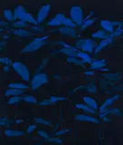 Peter Eastman, Bigger Blue Light, 2023, oil on aluminium